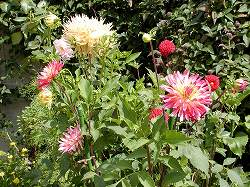 gardenmuseum (20).jpg